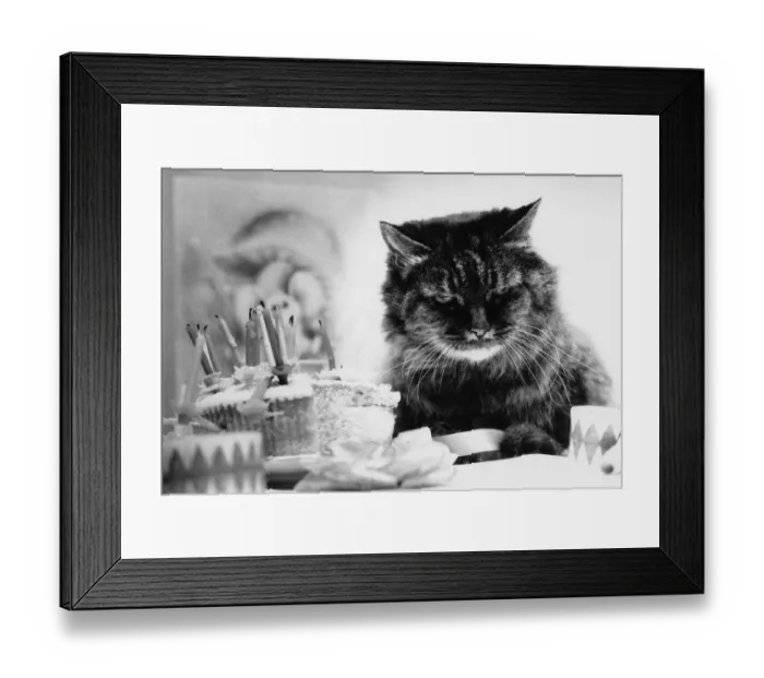 Framed Print : Grumpy Birthday Framed Print : Grumpy Birthday