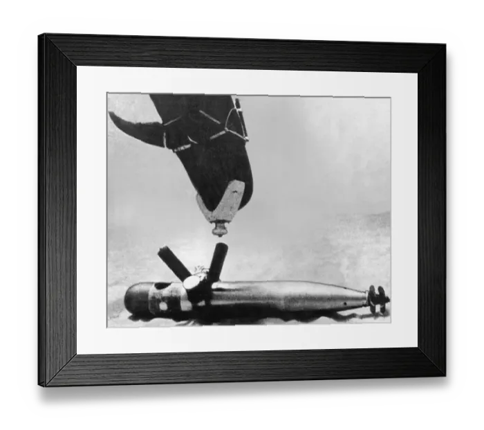 Framed Print : Navy Dolphin Framed Print : Navy Dolphin