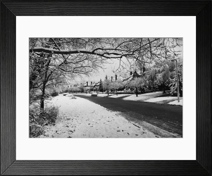 Framed Print : Snow Scene Framed Print : Snow Scene