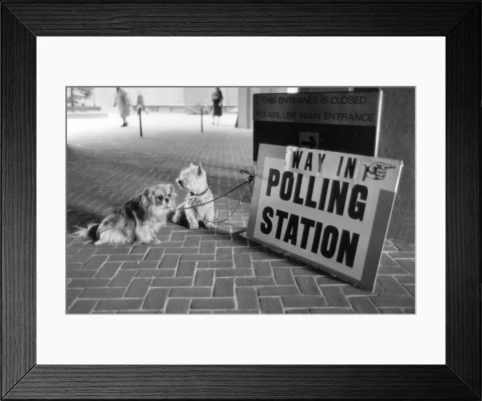 Framed Print : Who Did You Vote For Framed Print : Who Did You Vote For