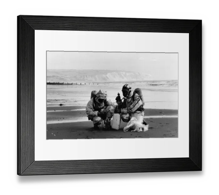 Framed Print : Arsenic Test Framed Print : Arsenic Test