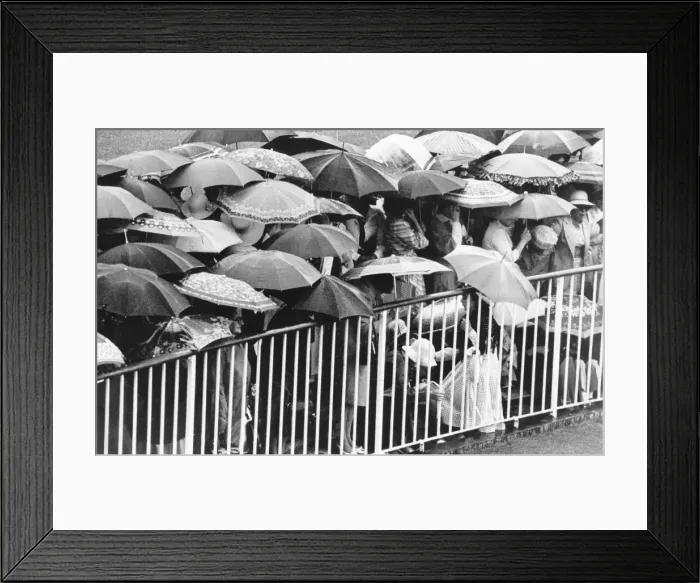 Framed Print : Wet Ascot. A sea of umbrellas at a wet Ascot horse race meeting