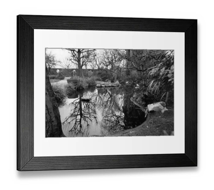 Framed Print : Roof Top Garden
