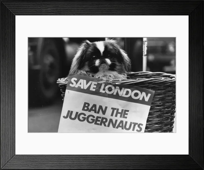Framed Print : Ban The Juggernauts