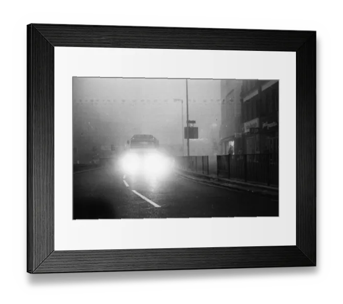 Framed Print : Going Where? Framed Print : Going Where?