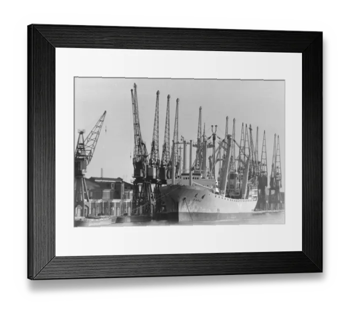 Framed Print : Royal Albert Docks Framed Print : Royal Albert Docks
