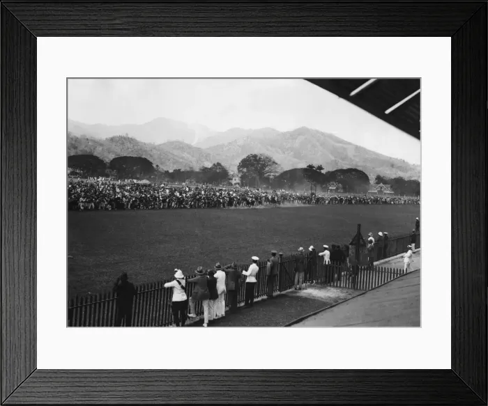 Framed Print : Racing In Trinidad Framed Print : Racing In Trinidad