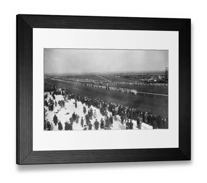 Framed Print : Leading Them In Framed Print : Leading Them In