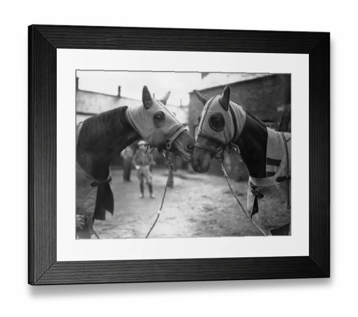 Framed Print : Face To Face Framed Print : Face To Face