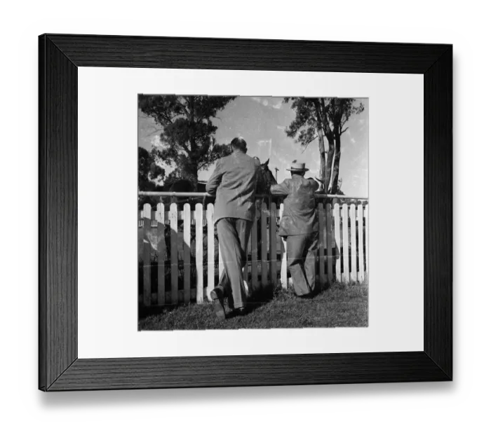 Framed Print : Trotting Race