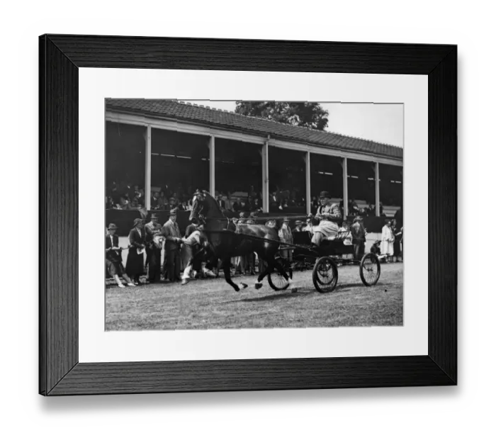 Framed Print : Horse Racing Framed Print : Horse Racing