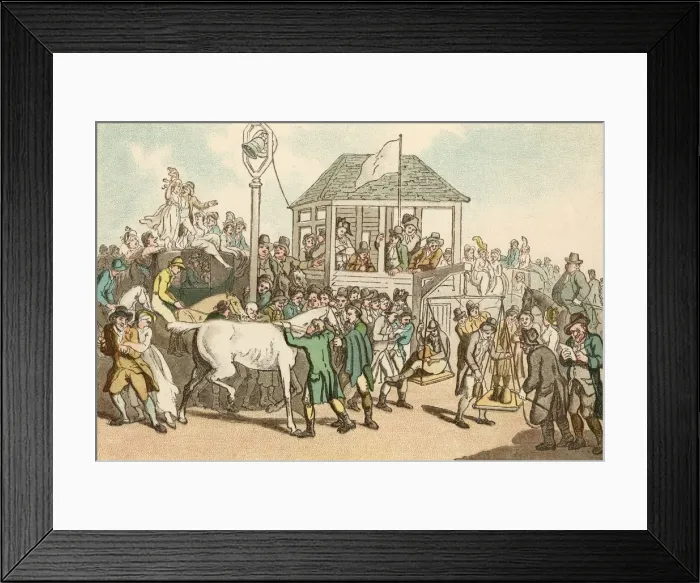 Framed Print : Horseracing Humour Framed Print : Horseracing Humour