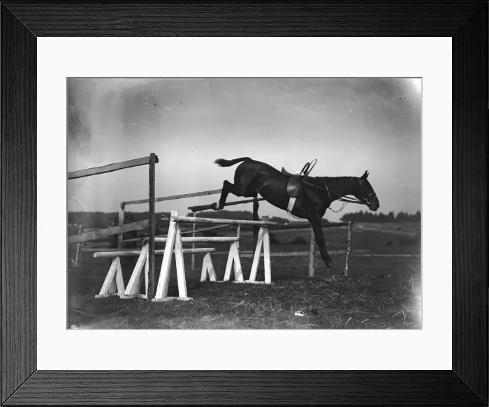 Framed Print : Tearaway Horse Framed Print : Tearaway Horse