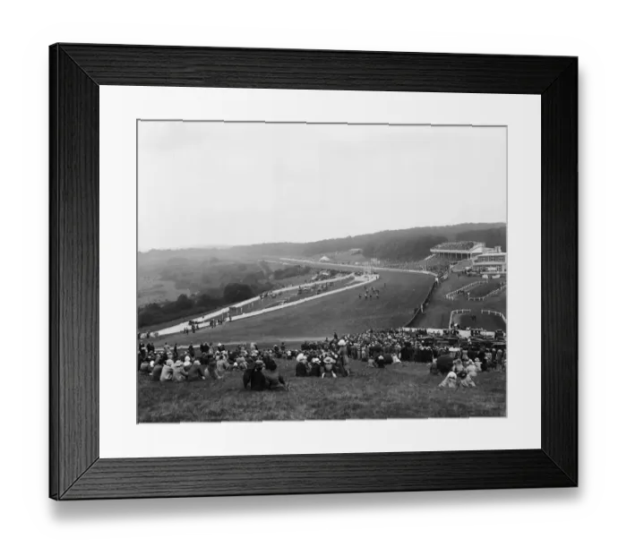Framed Print : Goodwood Crowd Framed Print : Goodwood Crowd