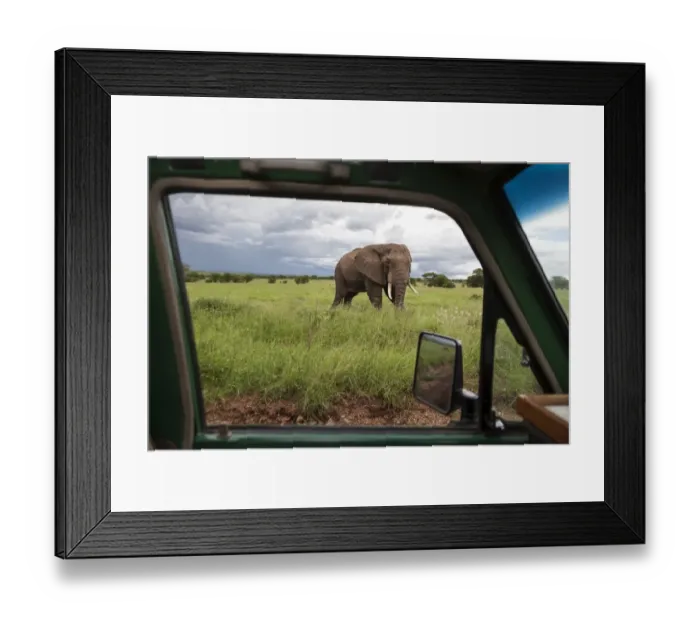 Framed Print : serengeti national park