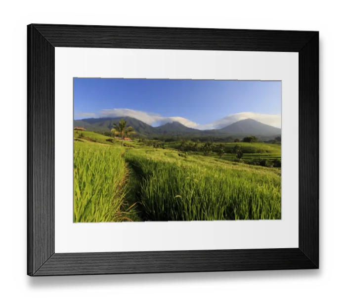 Framed Print : Indonesia, Bali, Rice Fields and Volcanoes