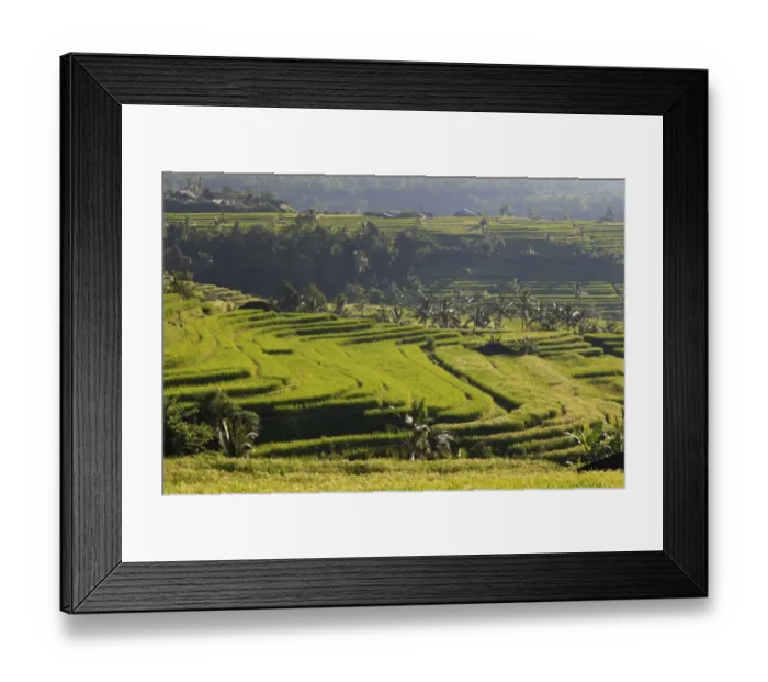 Framed Print : Indonesia, Bali, Rice Fields and Volcanoes Framed Print : Indonesia, Bali, Rice Fields and Volcanoes