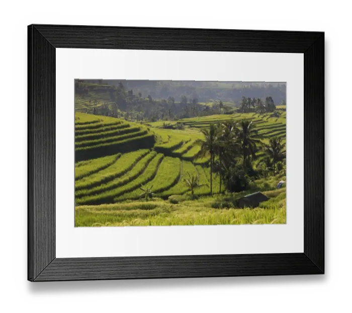Framed Print : Indonesia, Bali, Rice Fields and Volcanoes Framed Print : Indonesia, Bali, Rice Fields and Volcanoes