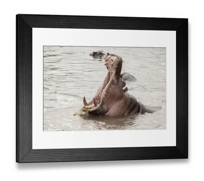 Framed Print : serengeti national park Framed Print : serengeti national park