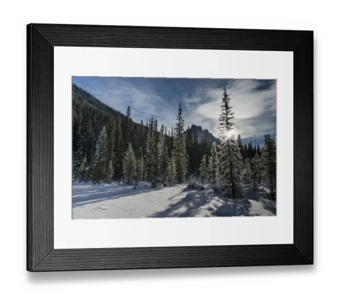 Framed Print : Snow on the rugged Canadian Rocky Mountains and trees, Yoho National Park