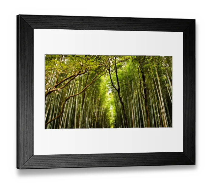 Framed Print : Kyotos famous Bamboo walk path in Arashiyama area Framed Print : Kyotos famous Bamboo walk path in Arashiyama area