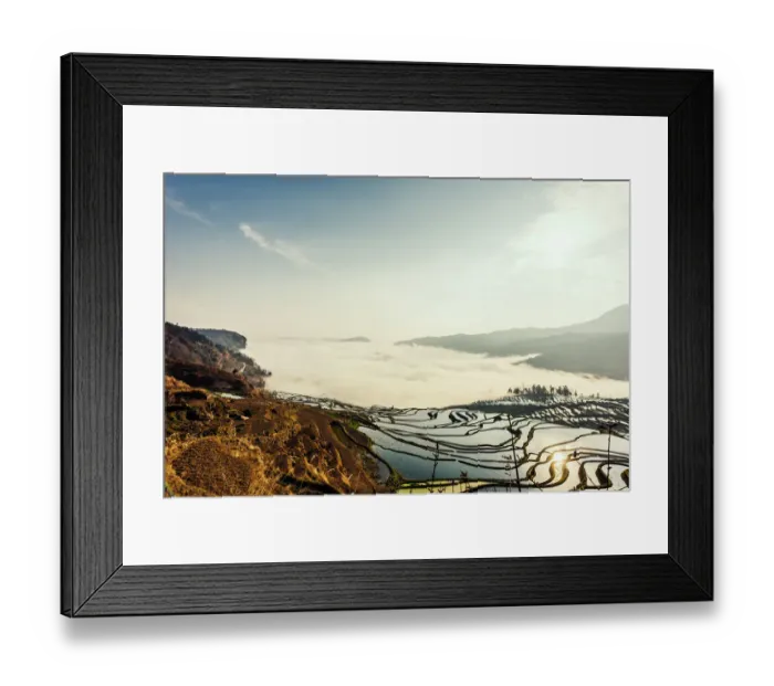 Framed Print : Rice terrace at Yuanyang. Yunnan. China Framed Print : Rice terrace at Yuanyang. Yunnan. China
