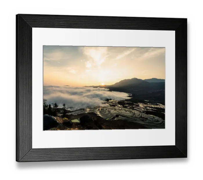 Framed Print : Rice terrace at Yuanyang. Yunnan. China Framed Print : Rice terrace at Yuanyang. Yunnan. China