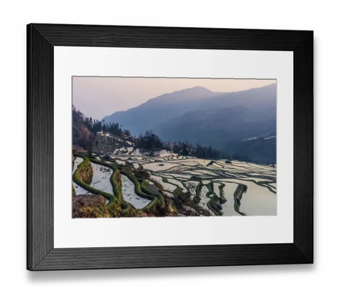 Framed Print : Rice terrace at Yuanyang. Yunnan. China Framed Print : Rice terrace at Yuanyang. Yunnan. China