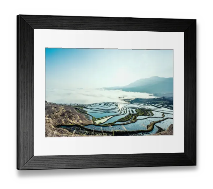 Framed Print : Rice terrace at Yuanyang. Yunnan. China Framed Print : Rice terrace at Yuanyang. Yunnan. China