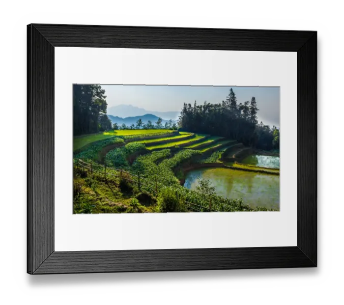 Framed Print : Rice terrace in Yunnan, China Framed Print : Rice terrace in Yunnan, China