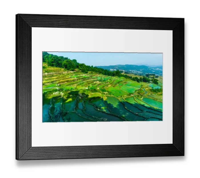 Framed Print : The mountain of rice terrace at Yuanyang, China Framed Print : The mountain of rice terrace at Yuanyang, China