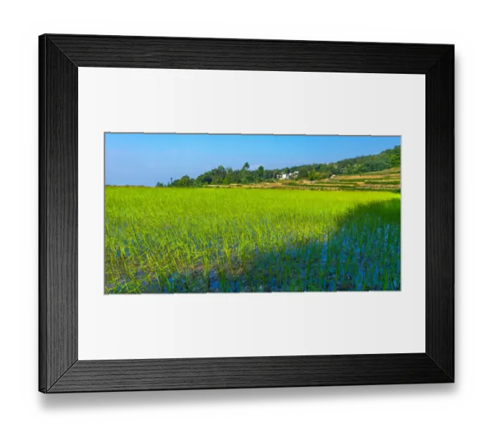 Framed Print : Yuanyang Rice Terraces, China Framed Print : Yuanyang Rice Terraces, China
