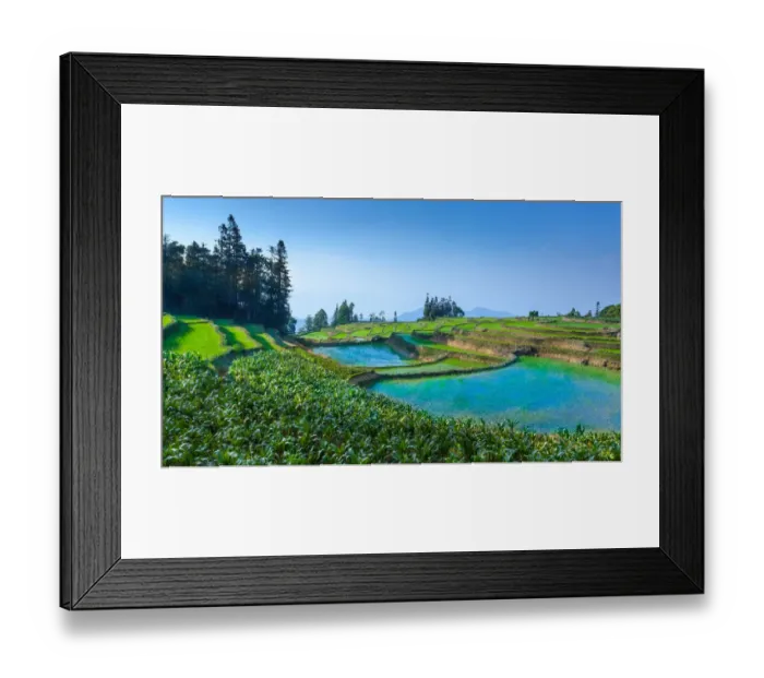 Framed Print : Rice terrace in Yunnan, China Framed Print : Rice terrace in Yunnan, China