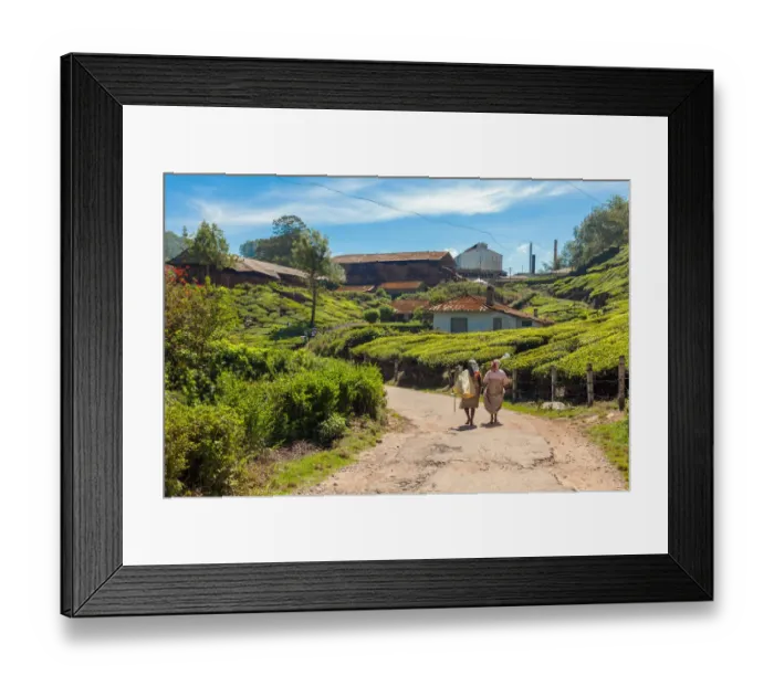 Framed Print : Tea plantation and processing facility in Kerala, India Framed Print : Tea plantation and processing facility in Kerala, India