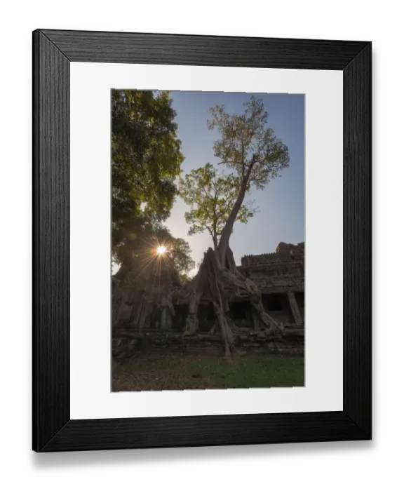 Framed Print : Ta Prohm Angkor Wat Cambodia Framed Print : Ta Prohm Angkor Wat Cambodia
