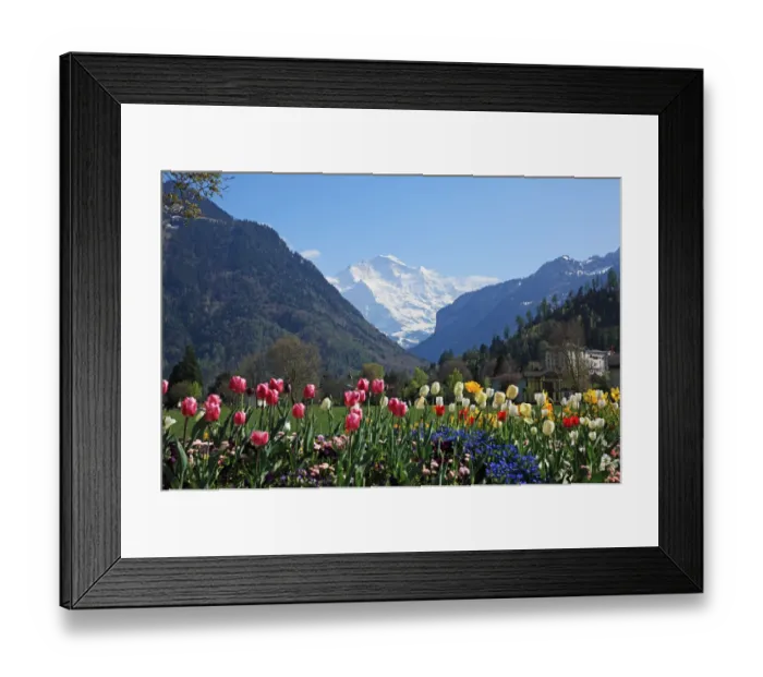 Framed Print : Switzerland, Interlaken Framed Print : Switzerland, Interlaken