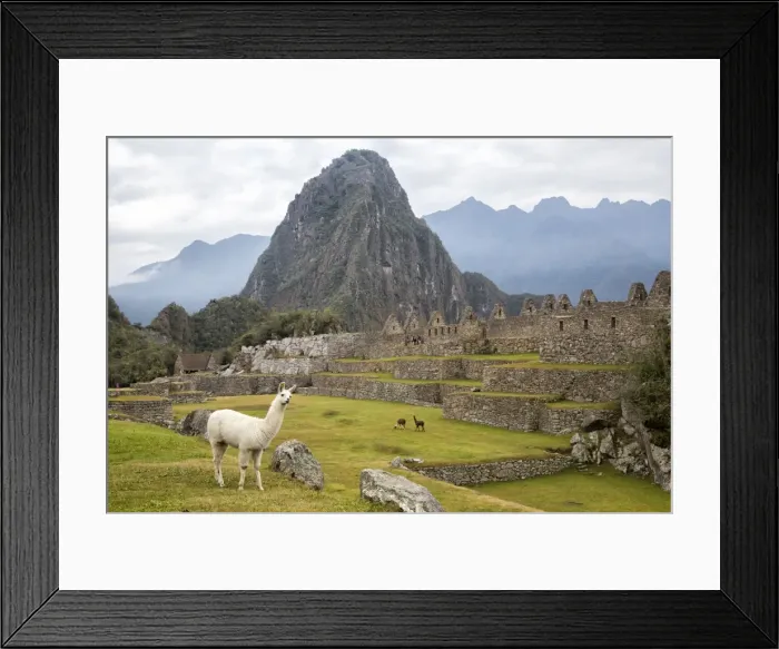 Framed Print : The Unesco World Heritage Site Machu Picchu, Peru Framed Print : The Unesco World Heritage Site Machu Picchu, Peru