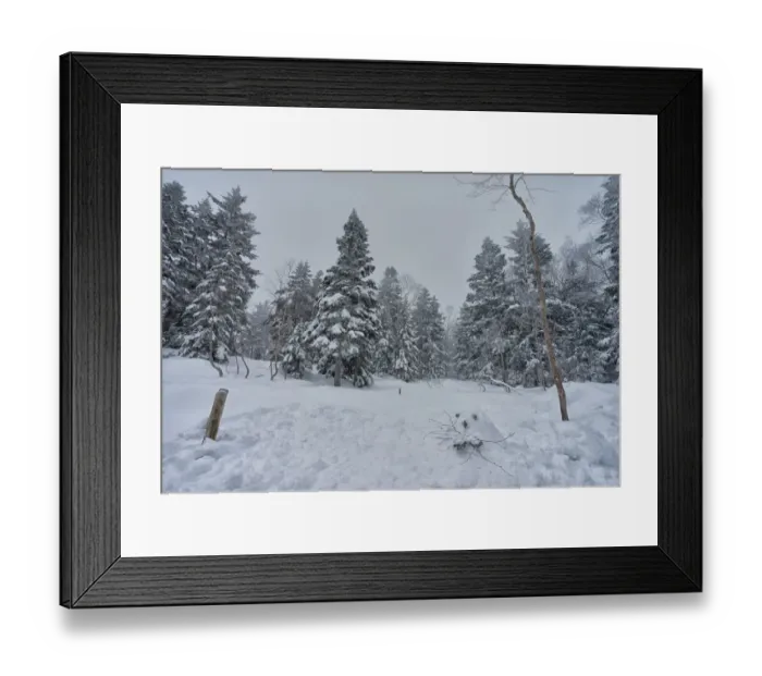 Framed Print : Snow Mole, Gifu