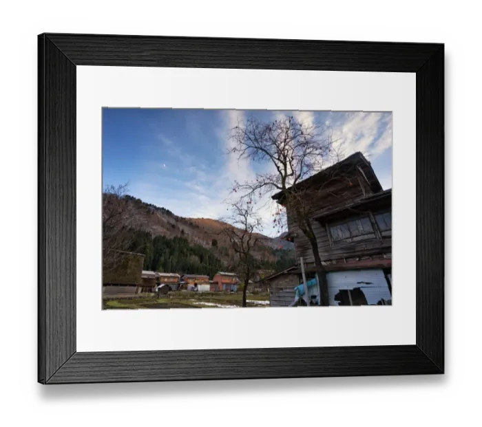 Framed Print : Persimmon Tree, Shirakawago - Japan Framed Print : Persimmon Tree, Shirakawago - Japan