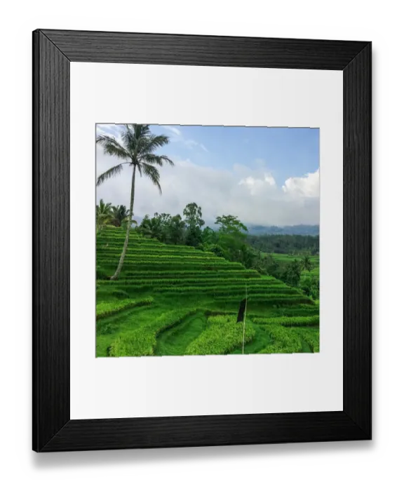 Framed Print : Terraced rice fields, Jatiluwih, Bali, Indonesia