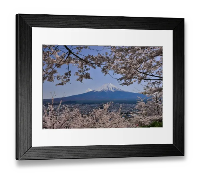Framed Print : Mt Fuji, Cherry Blossom and Shinto Shrine, Fuji-yoshida City, Japan Framed Print : Mt Fuji, Cherry Blossom and Shinto Shrine, Fuji-yoshida City, Japan