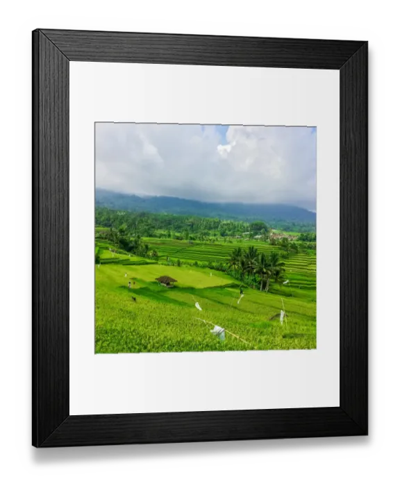 Framed Print : Terraced rice fields, Jatiluwih, Bali, Indonesia