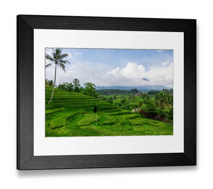Framed Print : Terraced rice fields, Jatiluwih, Bali, Indonesia Framed Print : Terraced rice fields, Jatiluwih, Bali, Indonesia
