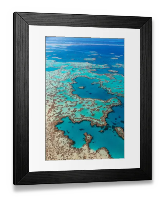 Framed Print : Great Barrier Reef Framed Print : Great Barrier Reef