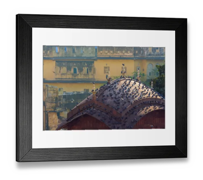 Framed Print : Birds on the roof Framed Print : Birds on the roof