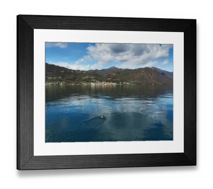 Framed Print : Pella, Lake Orta, Northern Italy, With Duck In The Foreground Framed Print : Pella, Lake Orta, Northern Italy, With Duck In The Foreground