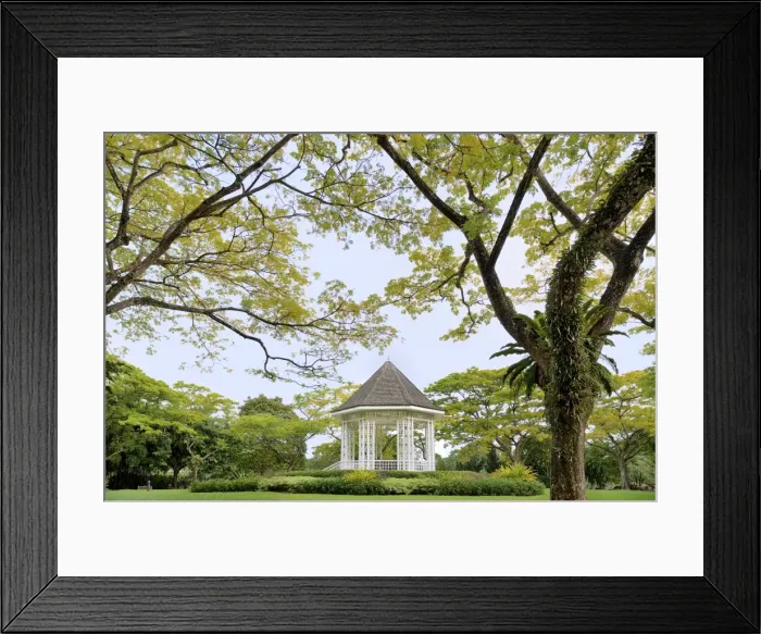 Framed Print : Singapore botanic gardens Framed Print : Singapore botanic gardens