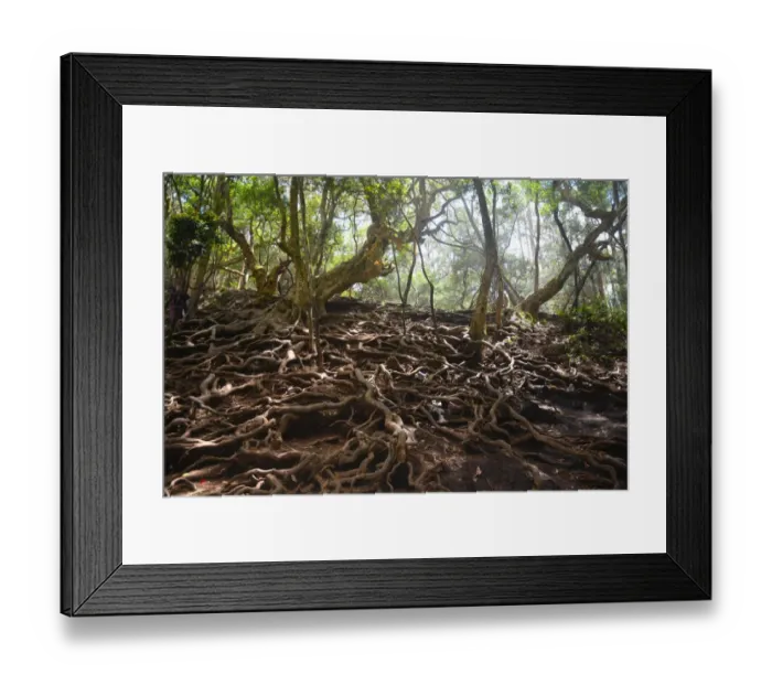 Framed Print : Kodaikanal Framed Print : Kodaikanal