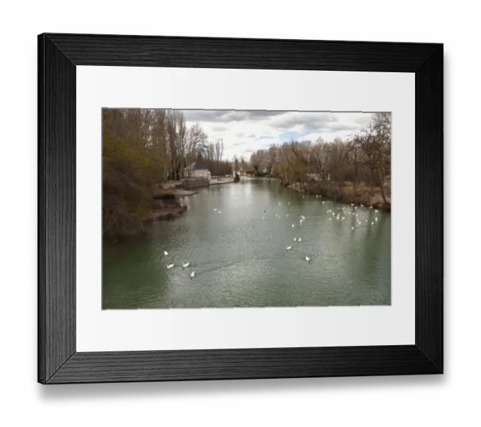 Framed Print : Aranjuez. Tajo River passing by the Royal Palace in Aranjuez, Madrid, Spain, Europe 2016