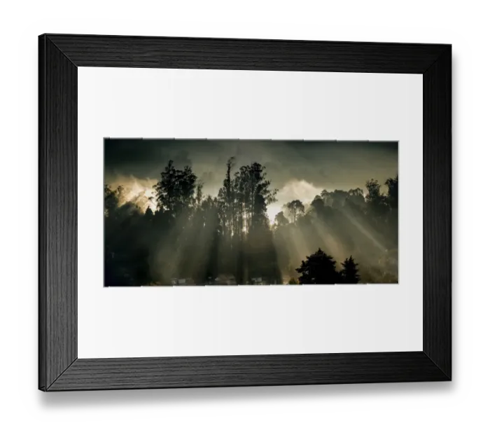 Framed Print : Sun shines through misty trees in Ooty Framed Print : Sun shines through misty trees in Ooty
